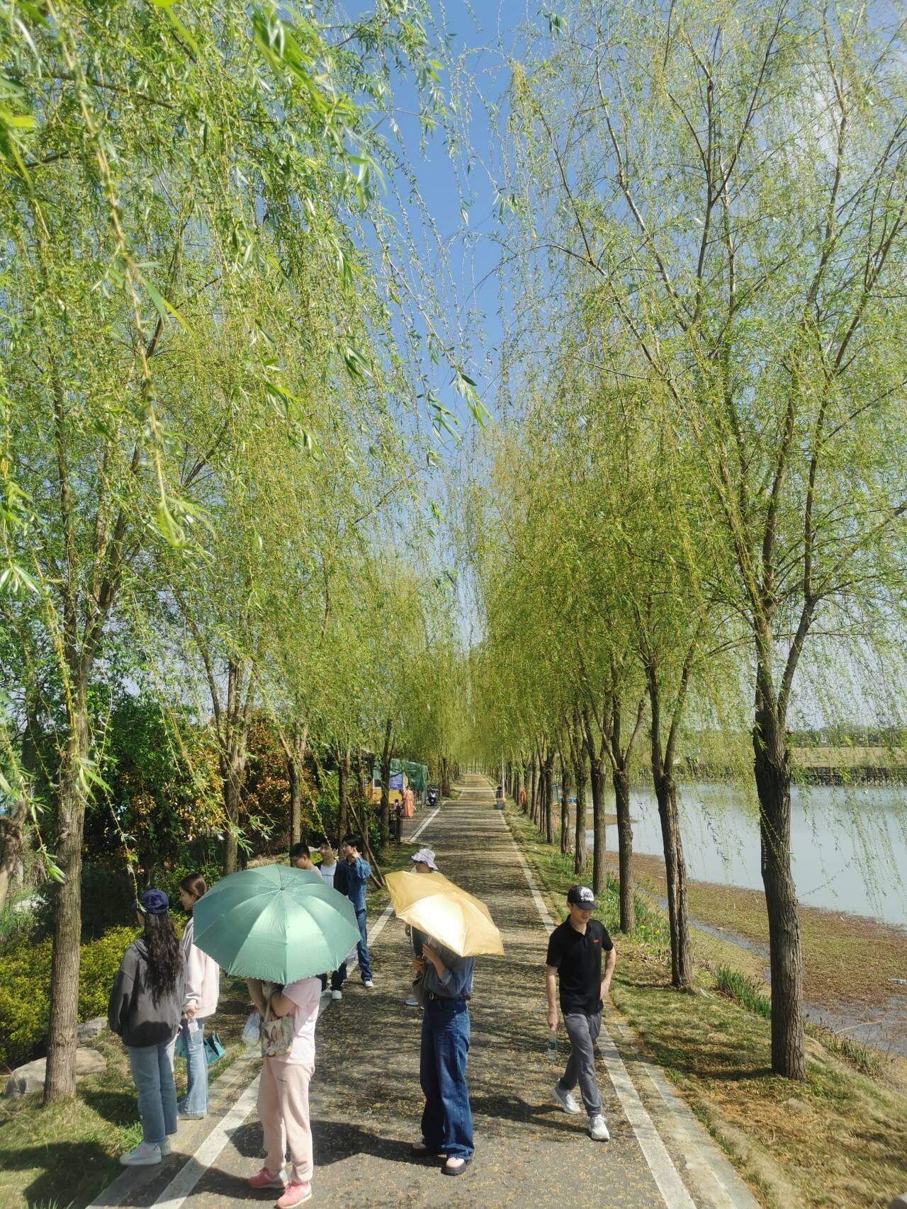 437必赢会员中心