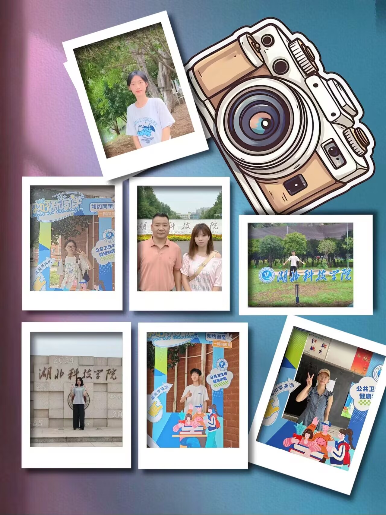 437必赢会员中心